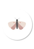 Sticker vlinder | 5 stuks
